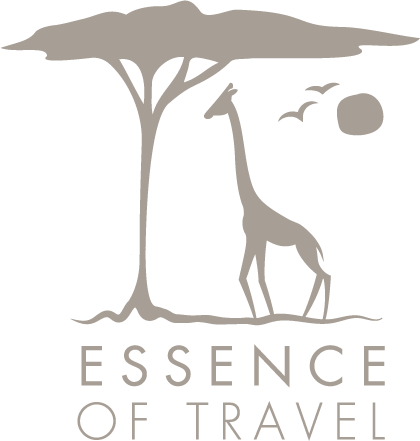 Essence of Travel
